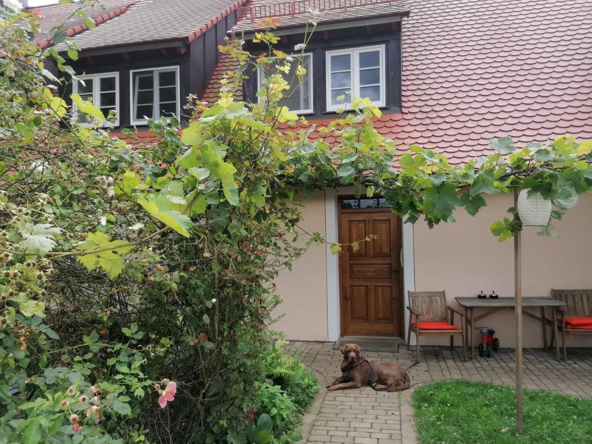 Ferienwohnungen Wastl Fraenkische Schweiz Hiltpoltstein Dış mekan fotoğraf